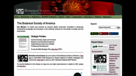 What Botany.org website looked like in 2023 (1 year ago)