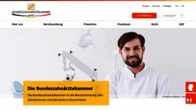 What Bzaek.de website looked like in 2023 (2 years ago)
