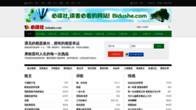 What Bidushe.com website looked like in 2023 (1 year ago)