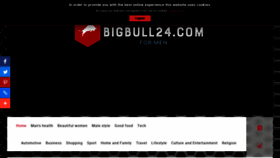 What Bigbull24.com website looked like in 2023 (1 year ago)