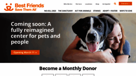 What Bestfriends.org website looked like in 2023 (2 years ago)