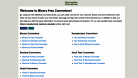 What Binaryhexconverter.com website looked like in 2023 (1 year ago)
