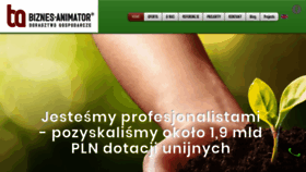 What Biznes-animator.pl website looked like in 2023 (1 year ago)