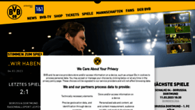 What Bvb.de website looked like in 2023 (1 year ago)