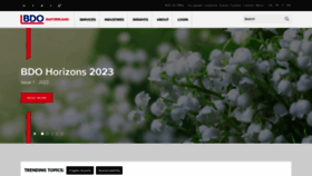 What Bdo.ch website looked like in 2023 (1 year ago)