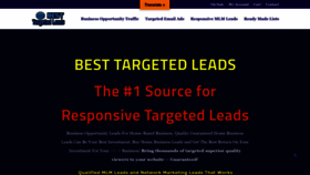 What Besttargetedleads.com website looked like in 2023 (1 year ago)