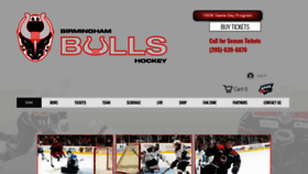 What Bullshockey.net website looked like in 2023 (1 year ago)