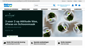 What Biggreensmile.nl website looked like in 2023 (1 year ago)