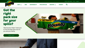 What Bountytowels.com website looked like in 2023 (1 year ago)