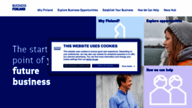 What Businessfinland.com website looked like in 2023 (1 year ago)