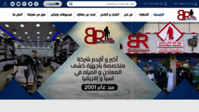 What Brdetectors-dubai.com website looked like in 2023 (1 year ago)