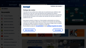 What Bernard.fr website looked like in 2023 (1 year ago)