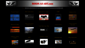 What Birdsasart.com website looked like in 2023 (1 year ago)