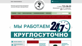 What Baccara-decor.ru website looked like in 2023 (1 year ago)