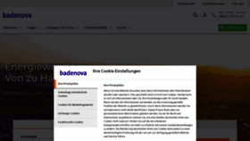What Badenova.de website looked like in 2023 (2 years ago)