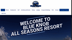 What Blueknob.com website looked like in 2023 (1 year ago)