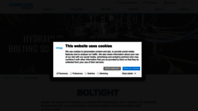What Boltight.com website looked like in 2023 (1 year ago)