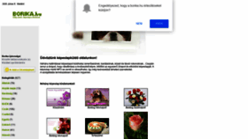 What Borika.hu website looked like in 2023 (1 year ago)