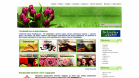 What Birmama.ru website looked like in 2023 (1 year ago)