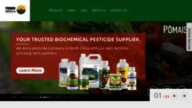 What Bigpesticides.com website looked like in 2023 (1 year ago)