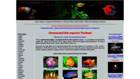 What Bangkokaquarium.com website looked like in 2023 (This year)