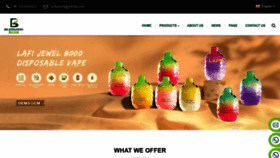 What Blongangvape.com website looked like in 2023 (This year)