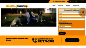 What Bestdogtrainer.in website looked like in 2023 (This year)