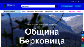 What Berkovitsa.bg website looked like in 2023 (This year)