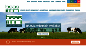 What Bsas.org.uk website looked like in 2023 (This year)