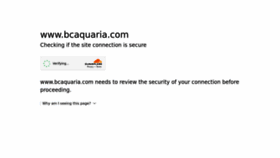 What Bcaquaria.com website looked like in 2023 (This year)