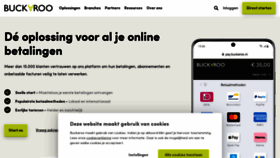 What Buckaroo.nl website looked like in 2023 (This year)