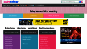 What Babynology.com website looked like in 2023 (This year)
