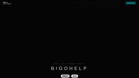 What Bigohelp.com website looked like in 2023 (This year)