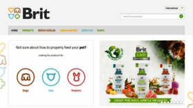 What Brit-petfood.com website looked like in 2023 (This year)