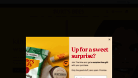 What Burtsbees.com website looked like in 2023 (This year)