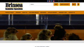 What Brinsea.com website looked like in 2023 (This year)