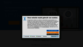 What Basenet.nl website looked like in 2023 (This year)