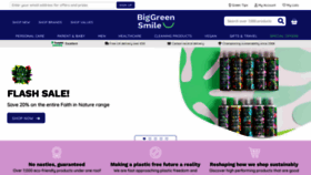What Biggreensmile.com website looked like in 2023 (This year)