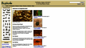 What Bugguide.net website looked like in 2023 (2 years ago)