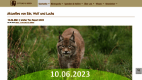 What Baer.de website looked like in 2023 (This year)