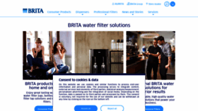 What Brita.net website looked like in 2023 (This year)