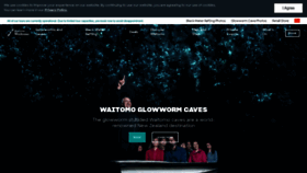 What Blackwaterrafting.co.nz website looked like in 2023 (This year)