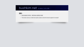 What Bushkim.net website looked like in 2023 (This year)