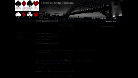 What Bridge-tm.org website looked like in 2023 (This year)