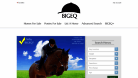 What Bigeq.com website looked like in 2023 (This year)