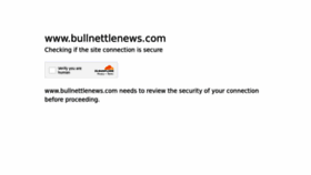 What Bullnettlenews.com website looked like in 2023 (This year)