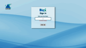 What Bizx.infinite.com website looked like in 2023 (This year)