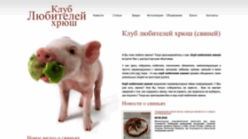 What Babai.ru website looked like in 2023 (This year)