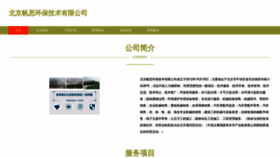 What Beijingfansi.com website looked like in 2023 (This year)