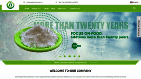 What Bhfoodadditive.com website looked like in 2023 (This year)